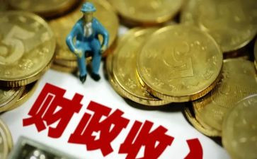 财政所2023年自查报告7篇