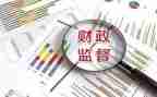 2024年财政局工作总结5篇