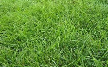 草船借读后感8篇