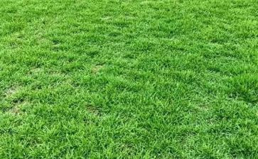 读草原读后感优秀5篇