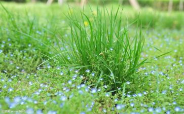 烟草客户经理年度总结7篇