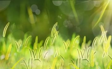 草船借箭的作文8篇