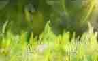 草船读后感600字精选5篇