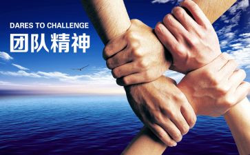 策划费合同模板7篇