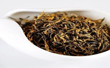 有关茶的调查报告精选7篇