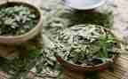 茶的调研报告范文6篇