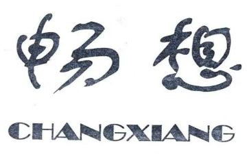 新畅想作文8篇