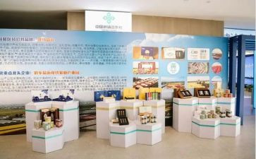 产品的市场调研报告8篇