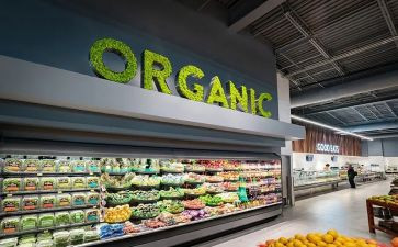 超市教案推荐8篇