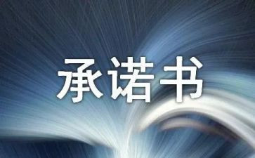 保证质量承诺书优质6篇