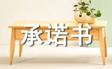产品质量承诺书模板8篇