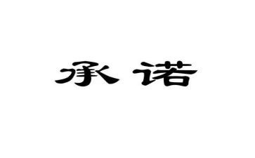 责任承诺书推荐5篇