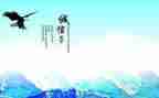 有关诚实的演讲稿8篇