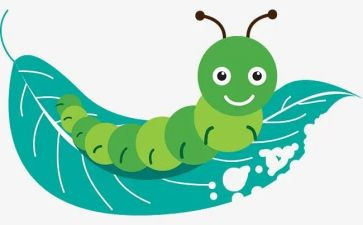 毛毛虫啃苹果中班教案7篇