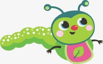 爱昆虫的人读后感5篇