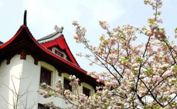 我的川大梦想演讲稿8篇