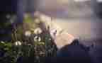 触动心灵的爱作文最新5篇