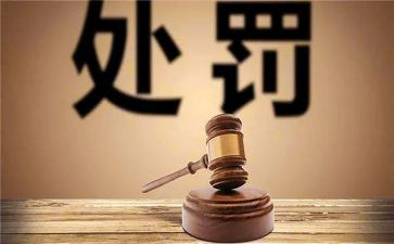 降处分申请书8篇