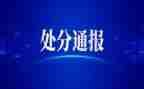 撤销处分单申请书优质6篇