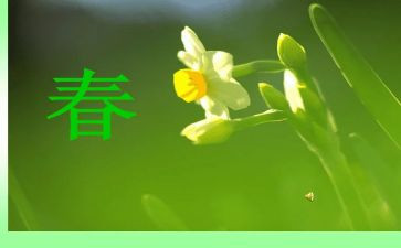春天的写景作文最新6篇