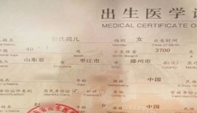 补办出生证明的申请书5篇