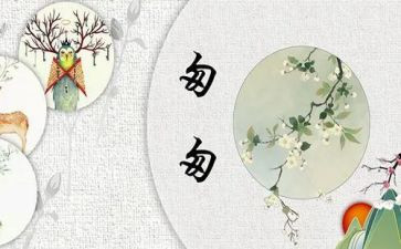 匆匆的读后感600字通用8篇
