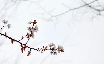 那年匆匆读后感6篇