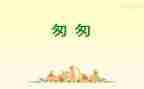 写匆匆读后感的作文范文8篇