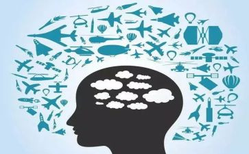 聪明的乌龟教案推荐7篇