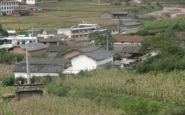 写农村作文500字作文8篇