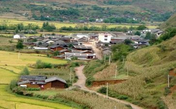 村委述职工作报告7篇