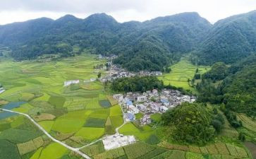 对村卫生室的自查报告模板8篇