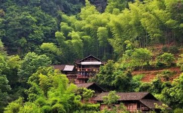 村保密自查报告5篇