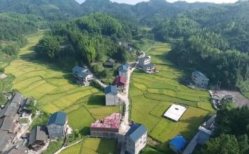 对XX村的调研报告7篇