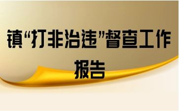 2024乡镇扫黄打非工作总结8篇