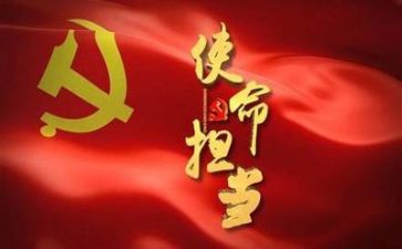 大党委述职报告范文8篇
