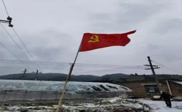 2023年党员转正申请书模板8篇