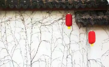 大年初一的作文优秀5篇