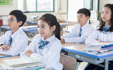 导师工作年度总结6篇