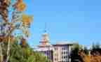 大学做调查报告通用6篇