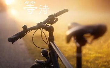 《等待》的读后感7篇
