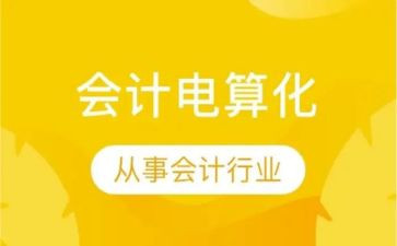 会计电算化的自我鉴定7篇