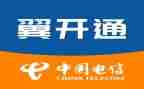 电信总结工作报告6篇