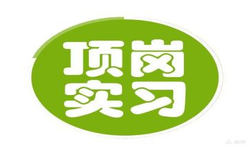 通用顶岗实习总结8篇
