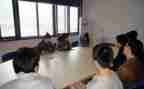 顶岗教师实习总结7篇