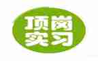 通用顶岗实习总结8篇