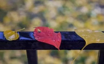 我读懂了________作文700字5篇