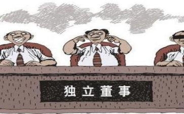 董事述职报告范文5篇