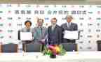 2024年董事会办公室工作总结6篇