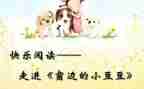 黑豆豆读后感优秀6篇